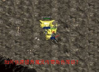 如何快速提升魔灵传奇角色等级? 如何快速提升魔灵传奇角色等级?