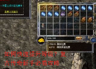 如何快速提升等级?复古传奇新手必看攻略 如何快速提升等级?复古传奇新手必看攻略