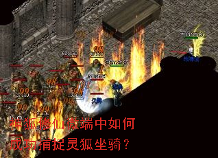 神狐修仙微端中如何成功捕捉灵狐坐骑? 神狐修仙微端中如何成功捕捉灵狐坐骑?