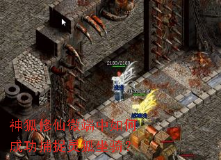 神狐修仙微端中如何成功捕捉灵狐坐骑? 神狐修仙微端中如何成功捕捉灵狐坐骑?