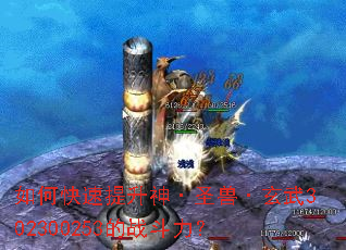 如何快速提升神·圣兽·玄武302300253的战斗力? 如何快速提升神·圣兽·玄武302300253的战斗力?