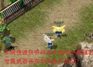 如何快速获得神威小侯爷小晨曦的专属武器并实现无限打BOSS? 如何快速获得神威小侯爷小晨曦的专属武器并实现无限打BOSS?