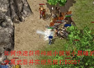 如何快速获得神威小侯爷小晨曦的专属武器并实现无限打BOSS? 如何快速获得神威小侯爷小晨曦的专属武器并实现无限打BOSS?