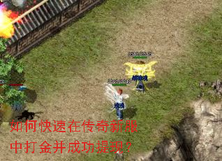如何快速在传奇新服中打金并成功提现? 如何快速在传奇新服中打金并成功提现?