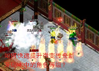 如何快速提升微变传奇新开版本中的角色等级? 如何快速提升微变传奇新开版本中的角色等级?