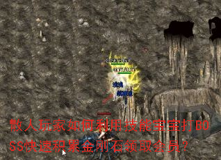 散人玩家如何利用技能宝宝打BOSS快速积累金刚石领取会员? 散人玩家如何利用技能宝宝打BOSS快速积累金刚石领取会员?