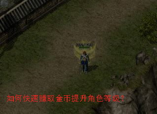 如何快速赚取金币提升角色等级? 如何快速赚取金币提升角色等级?