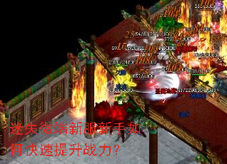 迷失微端新服新手如何快速提升战力? 迷失微端新服新手如何快速提升战力?