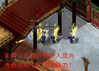 如何让宠物四野散人成为传奇游戏中的顶级战力? 如何让宠物四野散人成为传奇游戏中的顶级战力?