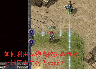 如何利用宠物高效挑战传奇小地图中的各大boss? 如何利用宠物高效挑战传奇小地图中的各大boss?