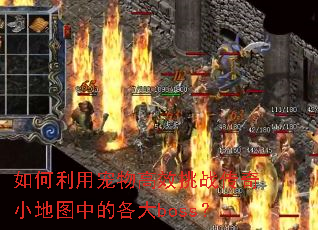 如何利用宠物高效挑战传奇小地图中的各大boss? 如何利用宠物高效挑战传奇小地图中的各大boss?