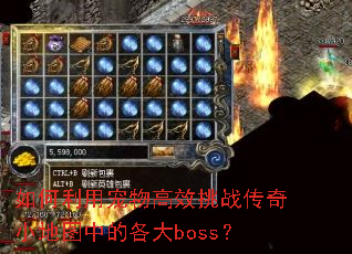 如何利用宠物高效挑战传奇小地图中的各大boss? 如何利用宠物高效挑战传奇小地图中的各大boss?
