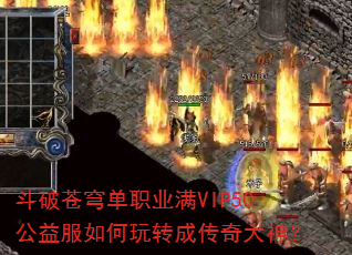 ���Ʋ�񷵥ְҵ��VIP50����������ת�ɴ������