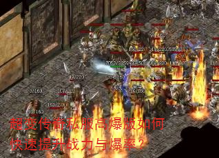 ���䴫��˽���߱�����ο�������ս���뱬�ʣ�