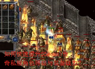 如何快速提升55woool传奇私服角色等级与装备战力? 如何快速提升55woool传奇私服角色等级与装备战力?