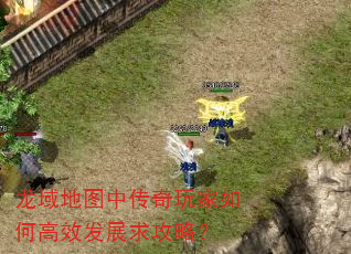 龙域地图中传奇玩家如何高效发展求攻略? 龙域地图中传奇玩家如何高效发展求攻略?