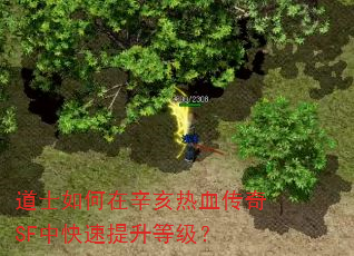 道士如何在辛亥热血传奇SF中快速提升等级? 道士如何在辛亥热血传奇SF中快速提升等级?