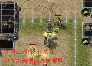 如何应对haosf峡谷中令人畏惧的月魔蜘蛛? 如何应对haosf峡谷中令人畏惧的月魔蜘蛛?