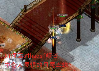 如何应对haosf峡谷中令人畏惧的月魔蜘蛛? 如何应对haosf峡谷中令人畏惧的月魔蜘蛛?