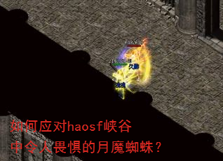 如何应对haosf峡谷中令人畏惧的月魔蜘蛛? 如何应对haosf峡谷中令人畏惧的月魔蜘蛛?