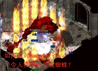 如何应对haosf峡谷中令人畏惧的月魔蜘蛛? 如何应对haosf峡谷中令人畏惧的月魔蜘蛛?