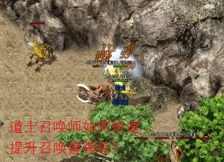道士召唤师如何快速提升召唤兽等级? 道士召唤师如何快速提升召唤兽等级?