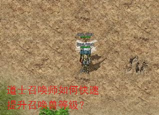 道士召唤师如何快速提升召唤兽等级? 道士召唤师如何快速提升召唤兽等级?