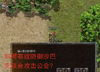 如何有效防御沙巴克联合攻击公会? 如何有效防御沙巴克联合攻击公会?