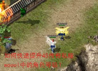 如何快速提升45传奇私服woool中的角色等级? 如何快速提升45传奇私服woool中的角色等级?