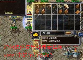 如何快速提升45传奇私服woool中的角色等级? 如何快速提升45传奇私服woool中的角色等级?