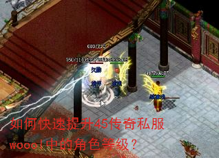 如何快速提升45传奇私服woool中的角色等级? 如何快速提升45传奇私服woool中的角色等级?
