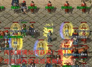 两仪寶镯如何获取?属性加成与实战效果解析 两仪寶镯如何获取?属性加成与实战效果解析