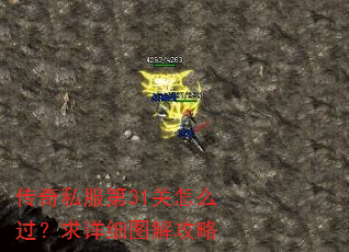 传奇私服第31关怎么过?求详细图解攻略 传奇私服第31关怎么过?求详细图解攻略