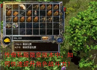 传奇私服微变版本中,如何快速提升角色战斗力? 传奇私服微变版本中,如何快速提升角色战斗力?