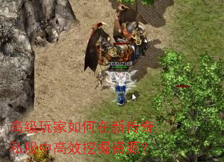 高级玩家如何在新传奇私服中高效挖掘资源? 高级玩家如何在新传奇私服中高效挖掘资源?