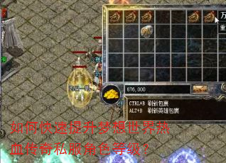 如何快速提升梦想世界热血传奇私服角色等级? 如何快速提升梦想世界热血传奇私服角色等级?