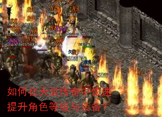 如何在天堂传奇中快速提升角色等级与装备? 如何在天堂传奇中快速提升角色等级与装备?