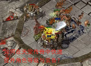如何在天堂传奇中快速提升角色等级与装备? 如何在天堂传奇中快速提升角色等级与装备?