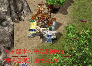鬼王版本传奇私服中如何快速提升角色战力? 鬼王版本传奇私服中如何快速提升角色战力?