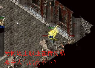 为何战士职业在传奇私服中人气居高不下? 为何战士职业在传奇私服中人气居高不下?
