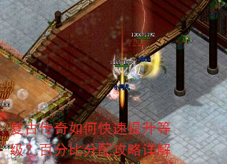 复古传奇如何快速提升等级?百分比分配攻略详解 复古传奇如何快速提升等级?百分比分配攻略详解