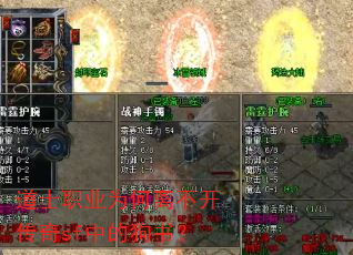 ��ʿְҵΪ���벻������sf�еĹ��飿