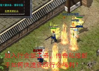 加入行会领工资,传奇私服新手如何快速获取行会福利? 加入行会领工资,传奇私服新手如何快速获取行会福利?