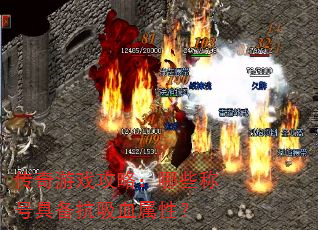 传奇游戏攻略:哪些称号具备抗吸血属性? 传奇游戏攻略:哪些称号具备抗吸血属性?