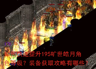 如何快速提升195旷世皓月角色等级?装备获取攻略有哪些? 如何快速提升195旷世皓月角色等级?装备获取攻略有哪些?