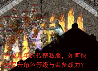 ���ż���Ĵ���˽������ο���������ɫ�ȼ���װ��ս����