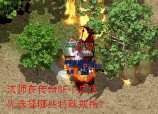 ��ʦ�ڴ���SF��Ӧ����ѡ����Щ�����ָ��