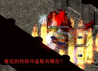 常见的特殊环函数有哪些? 常见的特殊环函数有哪些?