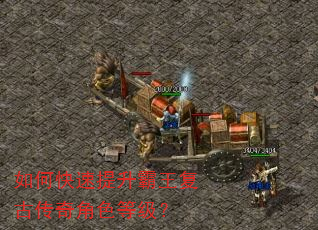 如何快速提升霸王复古传奇角色等级? 如何快速提升霸王复古传奇角色等级?