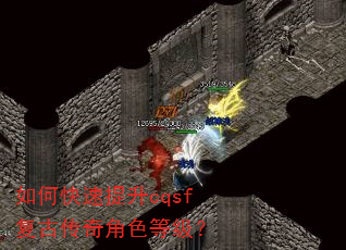 如何快速提升cqsf复古传奇角色等级? 如何快速提升cqsf复古传奇角色等级?